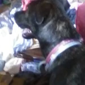 Meet your Posher, Gabby